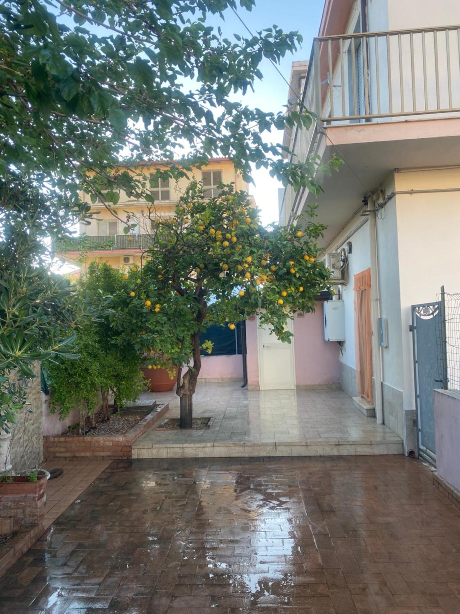 L'Albero Di Limoni Sul Mare Di Pizzo Villa Kültér fotó