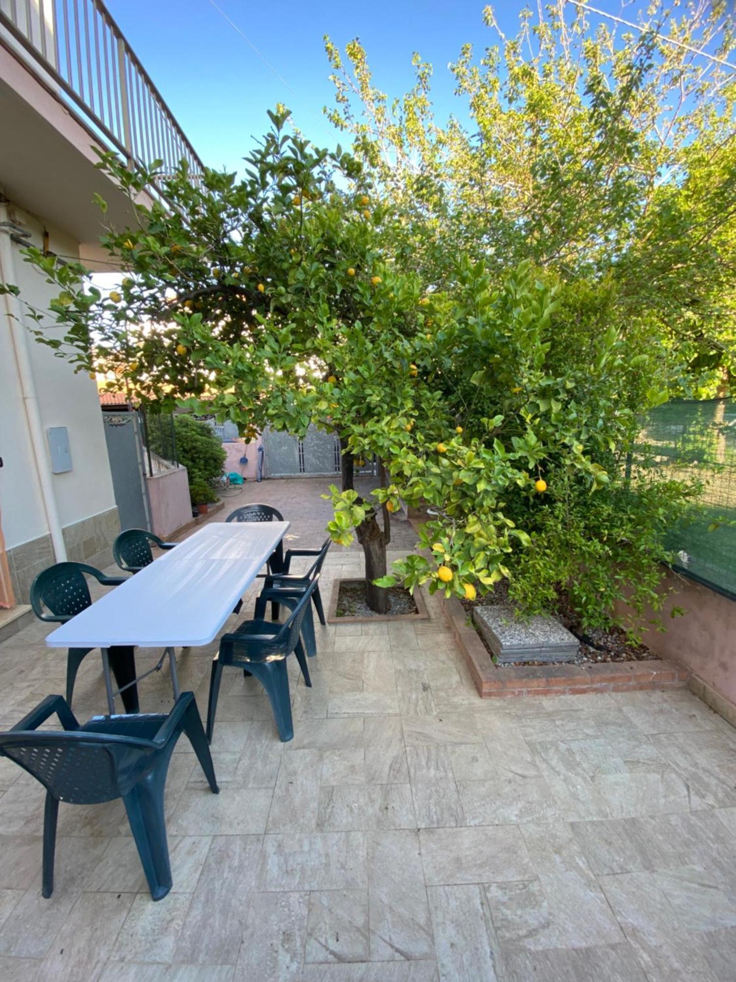 L'Albero Di Limoni Sul Mare Di Pizzo Villa Kültér fotó
