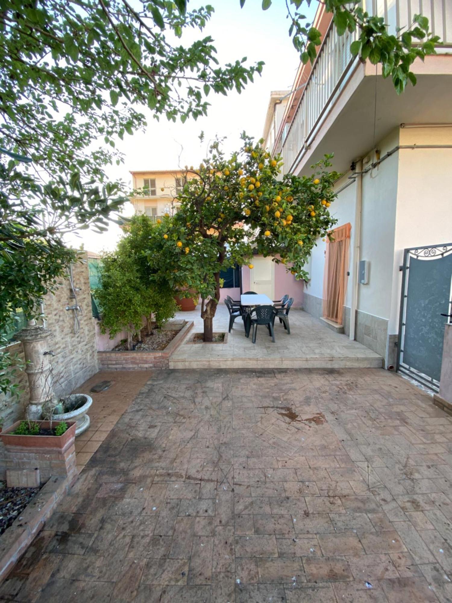 L'Albero Di Limoni Sul Mare Di Pizzo Villa Kültér fotó